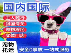 上海虹桥航空快运国际宠物托运 【国
